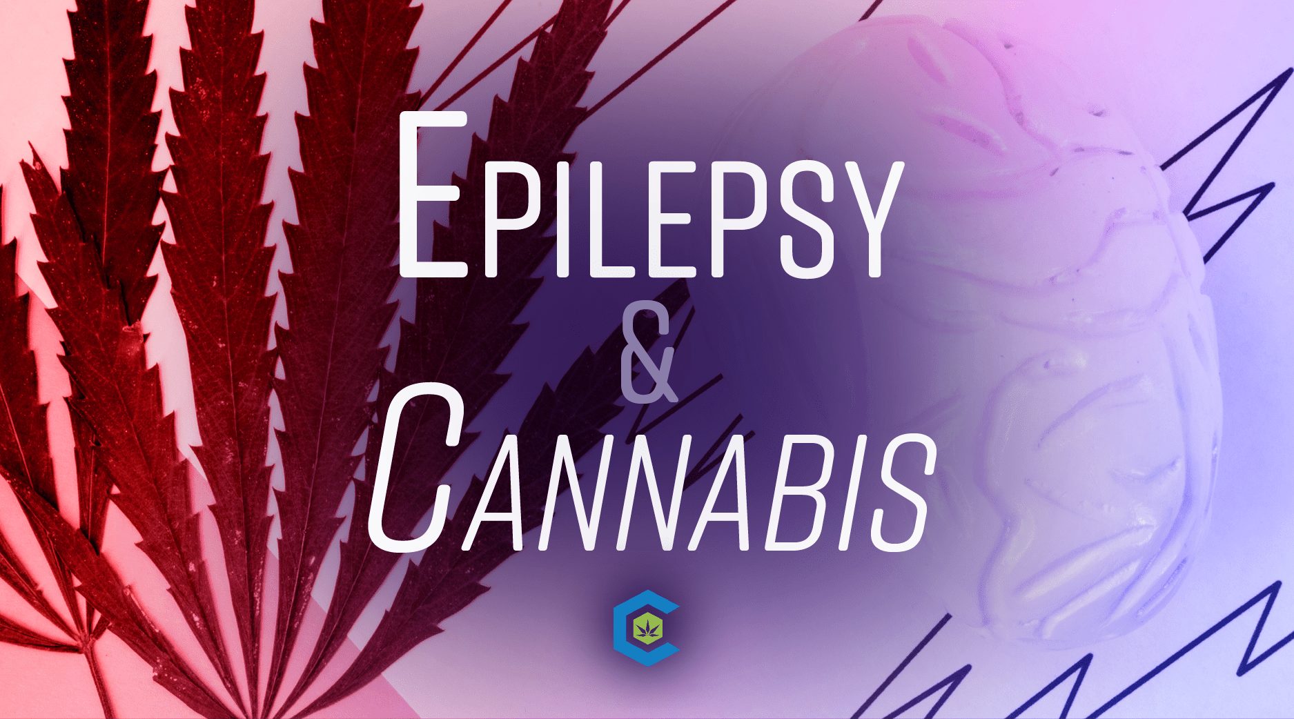 Seizures And Epilepsy: Can Cannabis Alleviate Seizures?