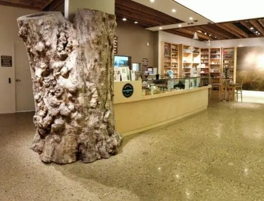 Natures Care Lobby 2