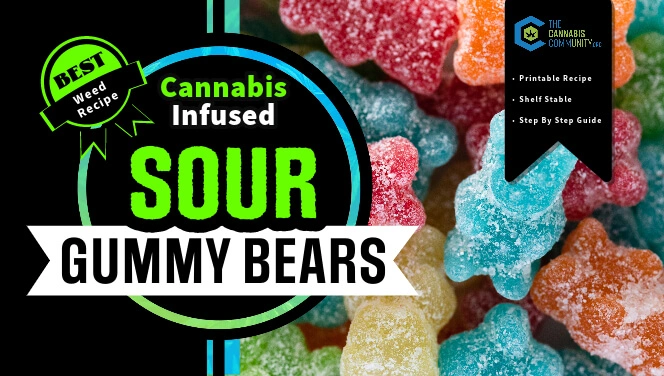 Homemade Sour THC Gummies: Easy Cannabis-Infused Recipe Using RSO, corn  syrup and citric acid 