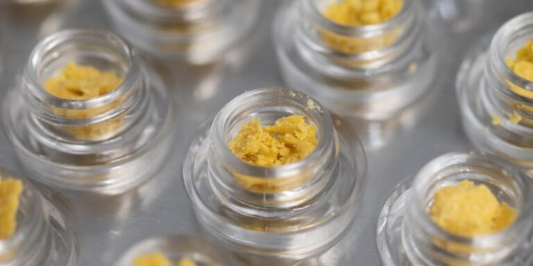 The Supreme Guide To Cannabis Concentrates: Types & Benefits