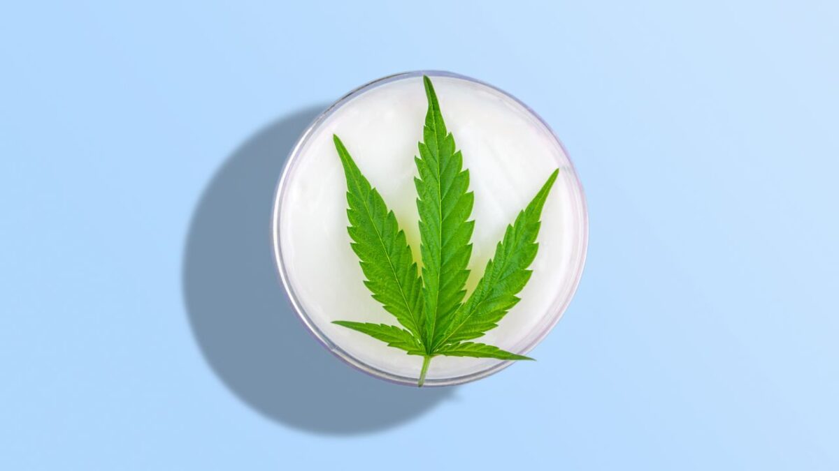 What Are Cannabis Transdermal Patches?