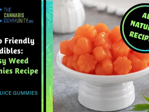 Edibles Recipes: The Best Cannabis Gummy Recipe in 2023 - Wake and Bake