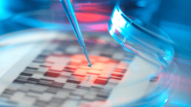 A pipette releases a droplet onto a petri dish containing DNA sequencing data, highlighted in red and blue.