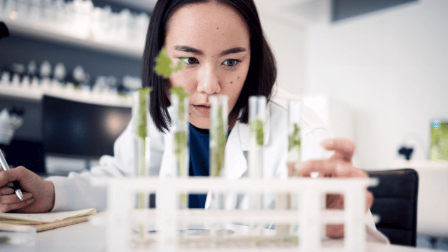 A scientist in a lab coat examines plants in test tubes on a rack in a laboratory setting.