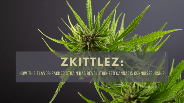 Close-up of Zkittlez cannabis plant with text overlay: "Zkittlez: How this flavor-packed strain has revolutionized cannabis connoisseurship.