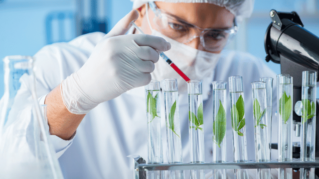 A scientist in a lab coat and protective gear adds liquid to test tubes containing green leaves, using a pipette.
