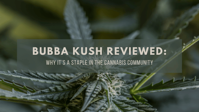Close-up of Bubba Kush cannabis plant with text overlay: 