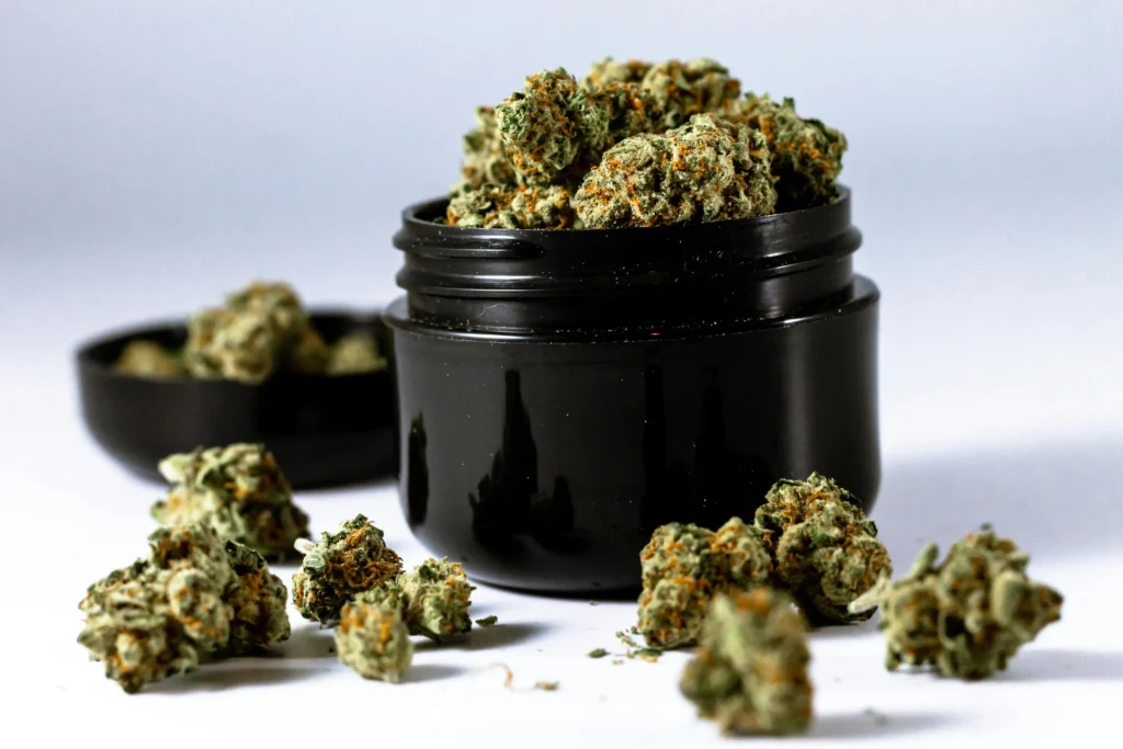 A black plastic jar overflows with green cured marijuana bud. 