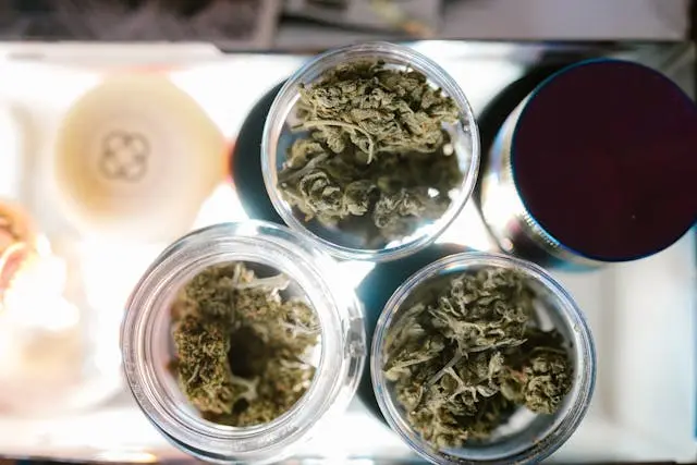 Overhead view of 3 jars of cannabis bud. 