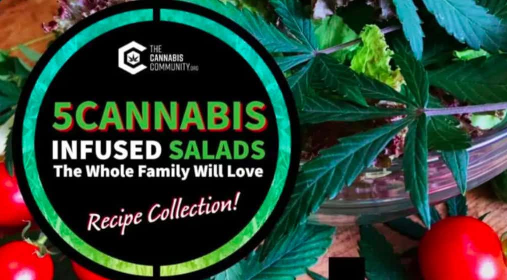 A vibrant graphic with the text "5 Cannabis Infused Salads The Whole Family Will Love: Recipe Collection!" from The Cannabis Community. The background features fresh vegetables, including tomatoes and leafy greens, with cannabis leaves intermingled among them.