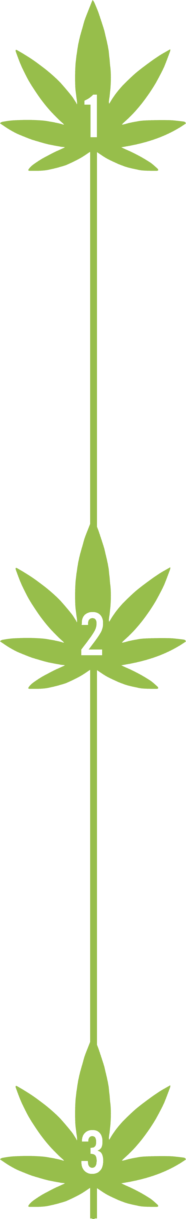 A vertical infographic with three green, stylized cannabis leaves labeled 1, 2, and 3 from top to bottom. The leaves are connected by a thin vertical line in the center. The infographic has a black background, and each leaf is symmetrically arranged around the central line.