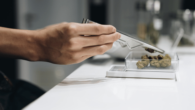 close up of a hand weighing out marijuana buds at Illinois cannabis dispensary.